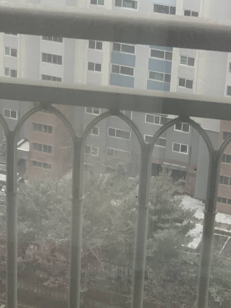 ☃️☃️헐!!! 눈 와!!!!❄️❄️❄️ | 인스티즈