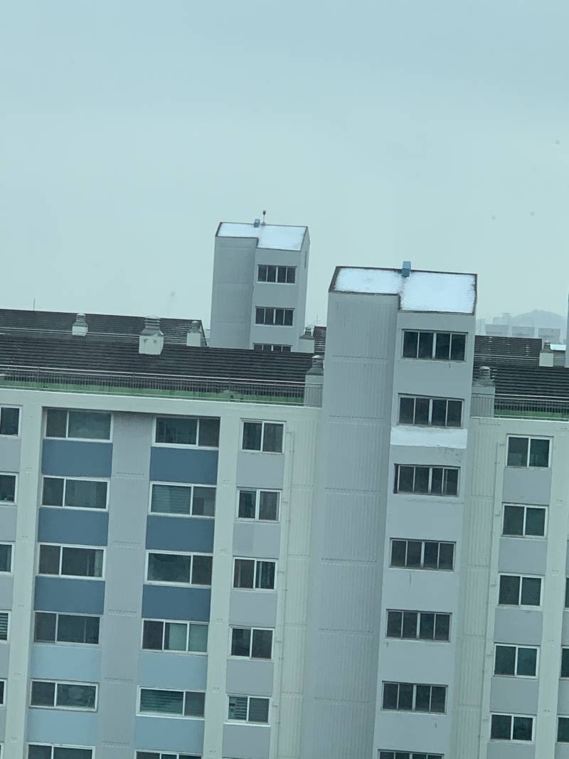 ☃️☃️헐!!! 눈 와!!!!❄️❄️❄️ | 인스티즈