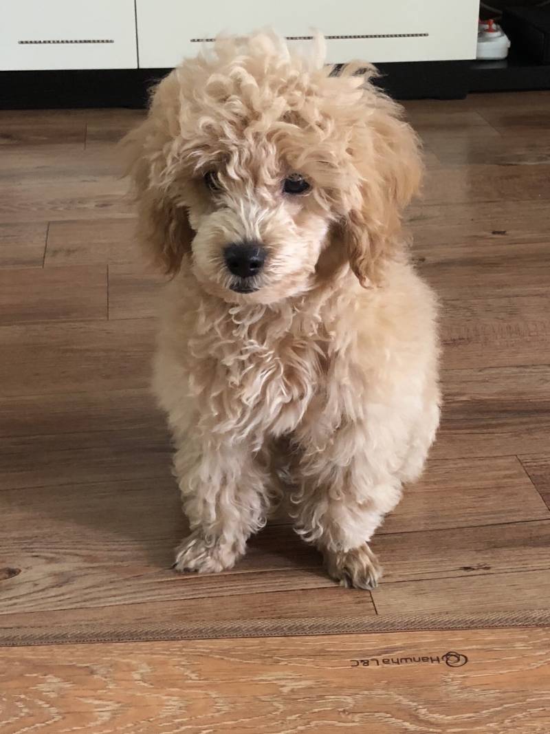 우리 멈머 애기때 사진 보는데 | 인스티즈