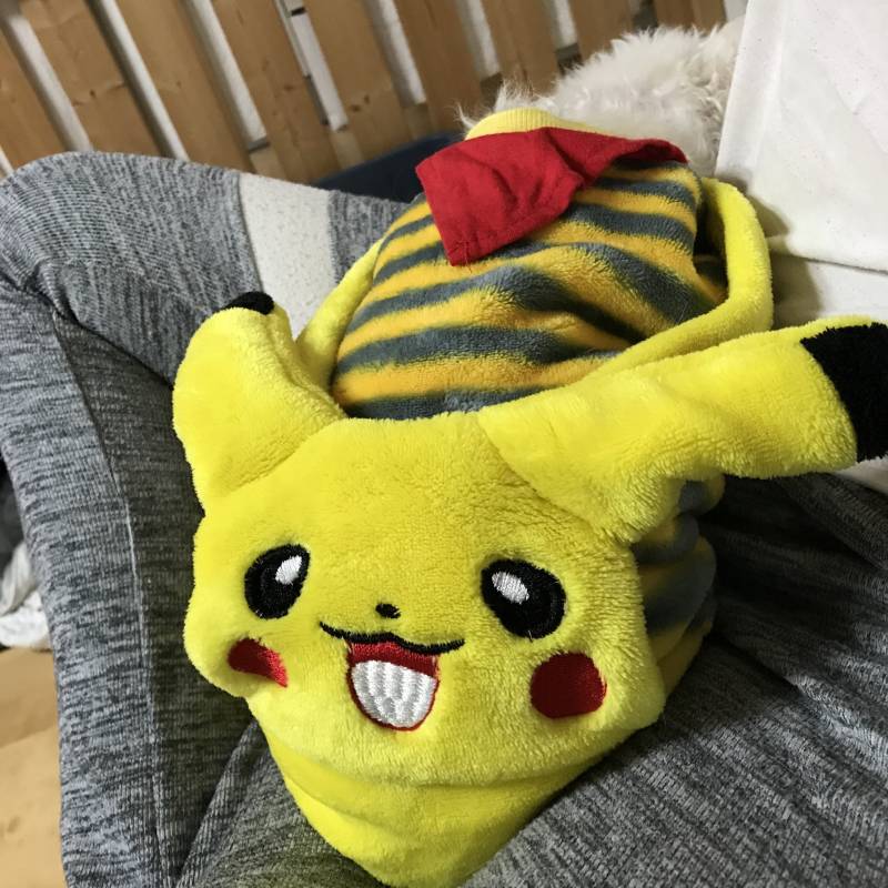 3개월만에 집에 왔는데 40 | 인스티즈