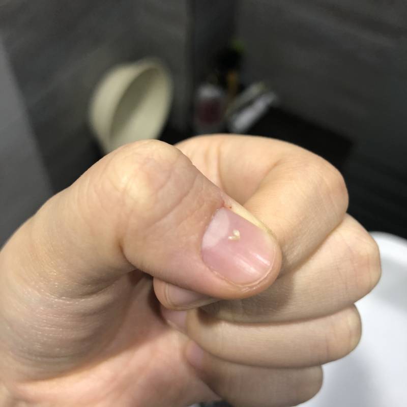 다들 내 하트피지 보고가❣️(ㅎㅇㅈㅇ) | 인스티즈