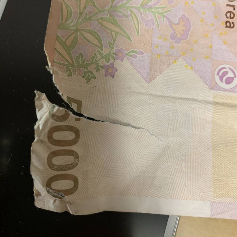 지갑에 지폐 잘못넣어서 찢어졌는데 괜찮아? | 인스티즈