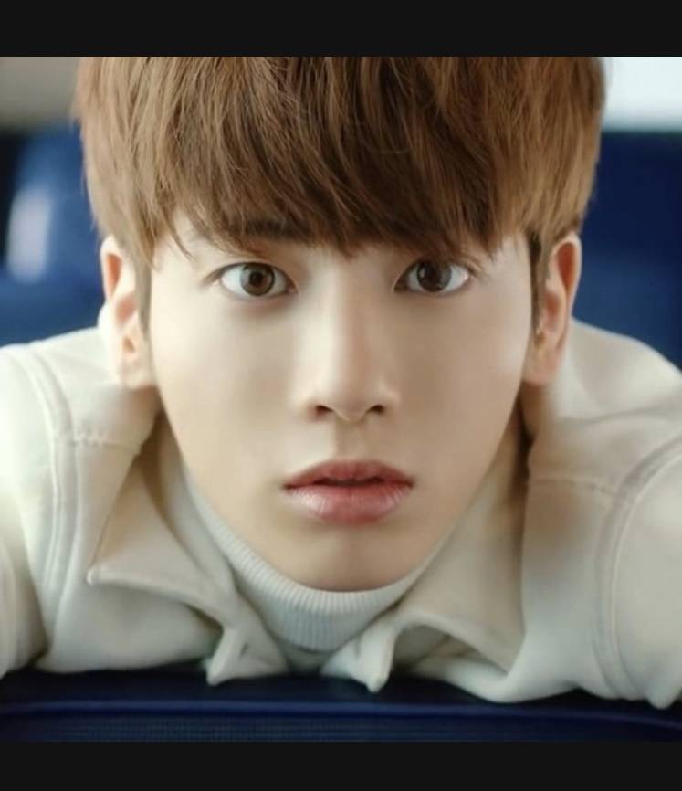 남익 닮았다고 듣는 분들인데 특징 알려줄수있을까? ㅜㅜ | 인스티즈