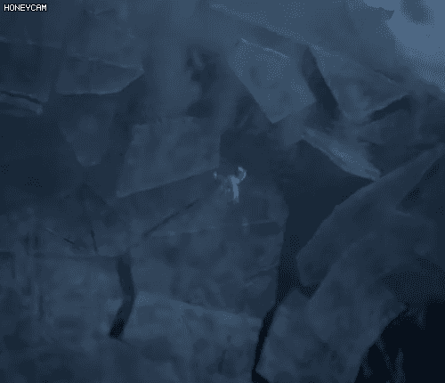 ❄️겨울왕국2본익들만들어와ㅎㅎ움짤가져와봤어❄️(움짤많아 강력ㅅㅍㅈㅇ) | 인스티즈