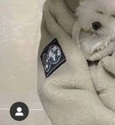 이 브랜드 어디꺼야? | 인스티즈