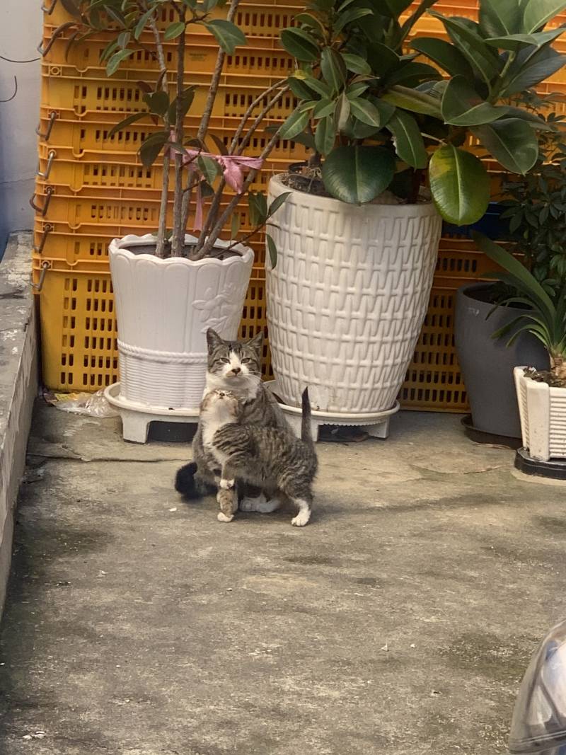 와 뭐야 진짜 귀여워..40 | 인스티즈