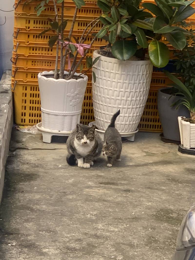 와 뭐야 진짜 귀여워..40 | 인스티즈