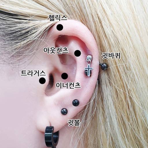 여기서 제일 덜 아픈부위가 어디야? | 인스티즈