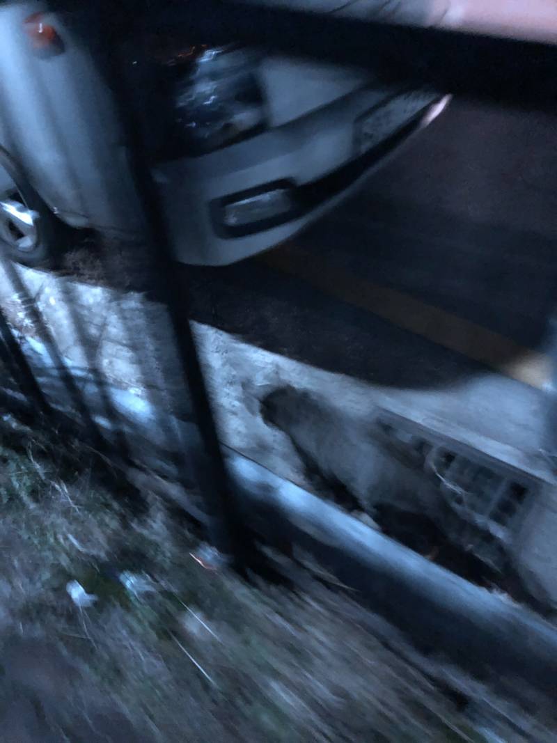 하 집가는데 공ㅇ먐이 너무 귀여워서행복해ㅠ404040 | 인스티즈