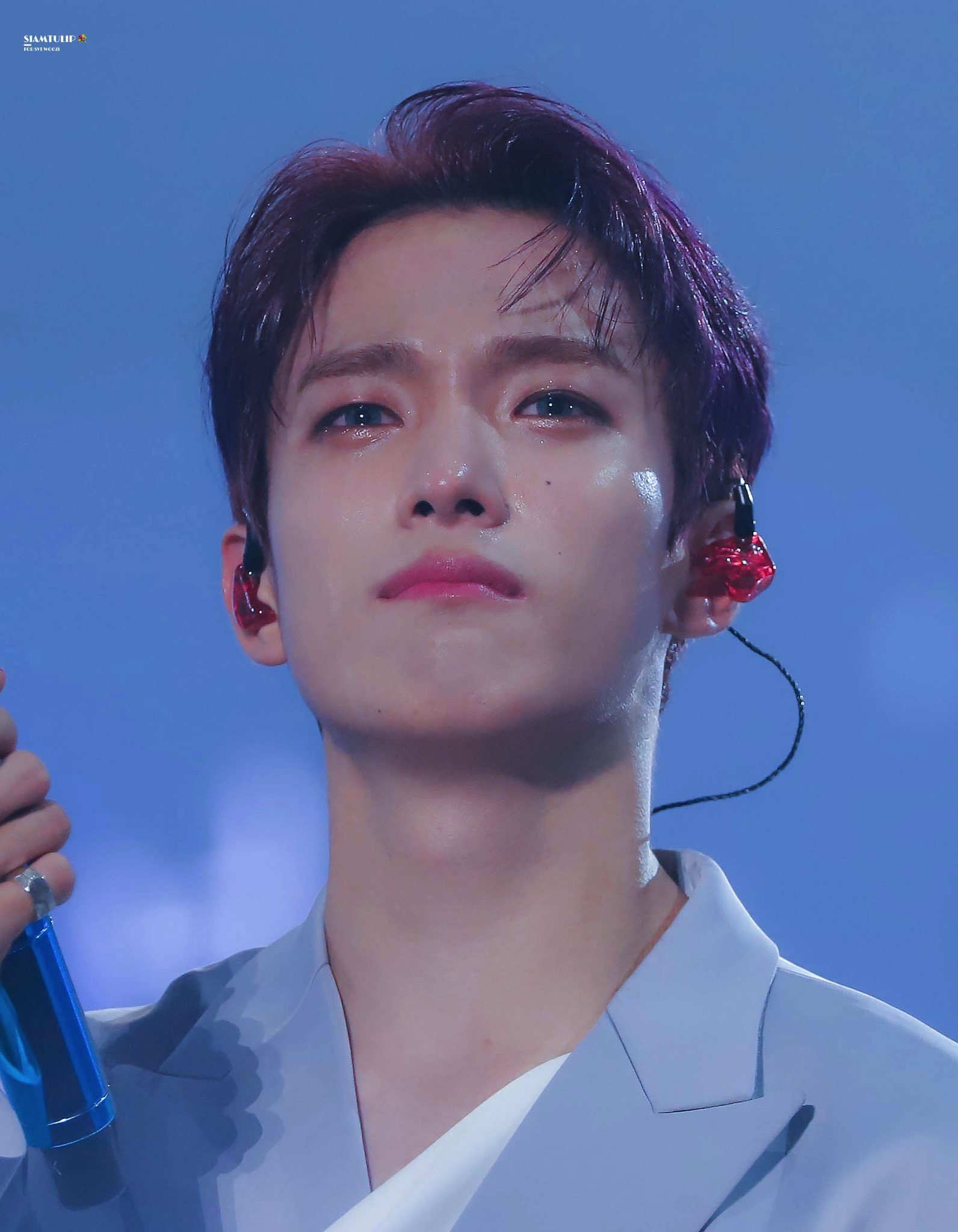 세븐틴 숙소에 도겸 울면서 들어가면 어떻게 됨? | 인스티즈