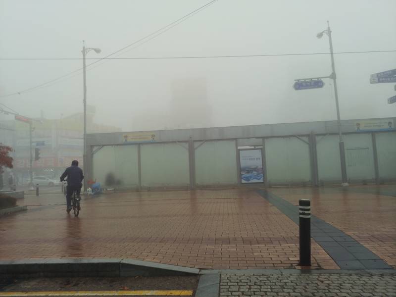 오늘자 평택 안개 낀 거봐.. | 인스티즈