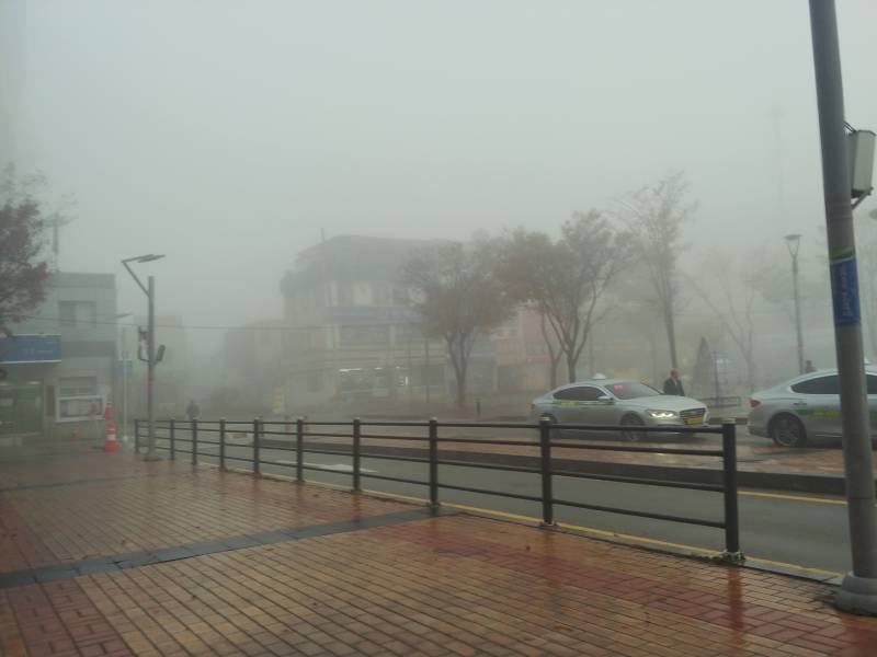 오늘자 평택 안개 낀 거봐.. | 인스티즈