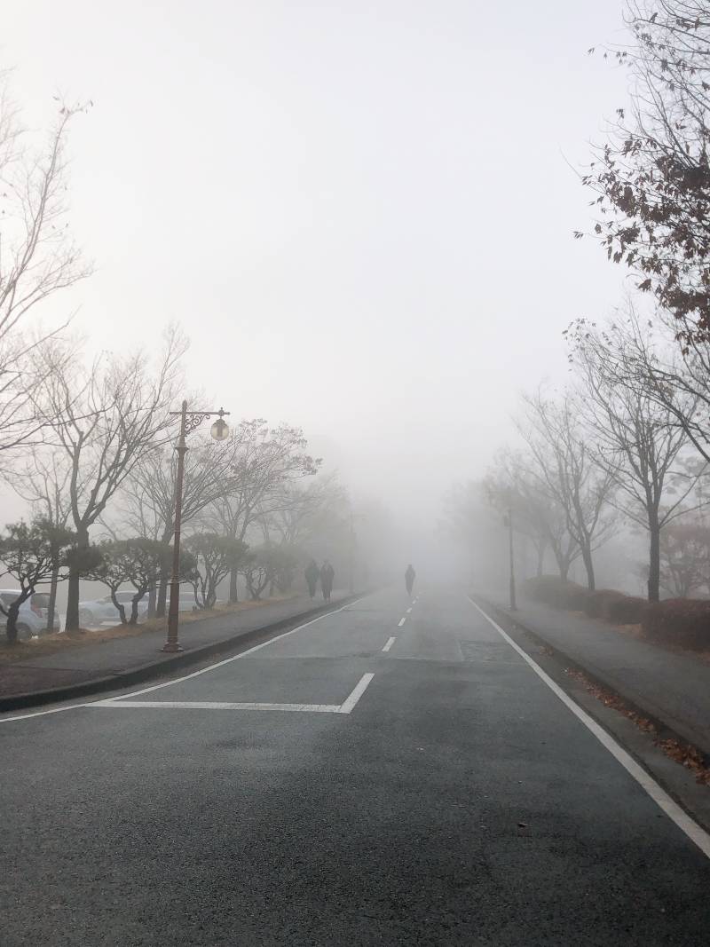 오늘 안개 무슨일이야???? | 인스티즈
