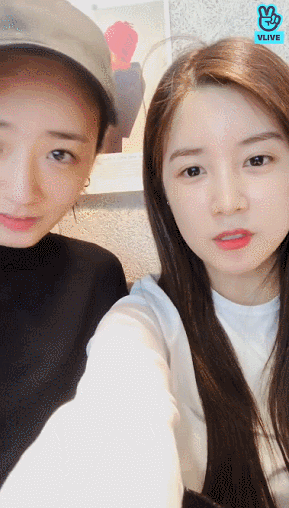 10년 동안 같이 살면서 한 번도 싸운 적 없다는 우리 애들 보고 갈래..? | 인스티즈