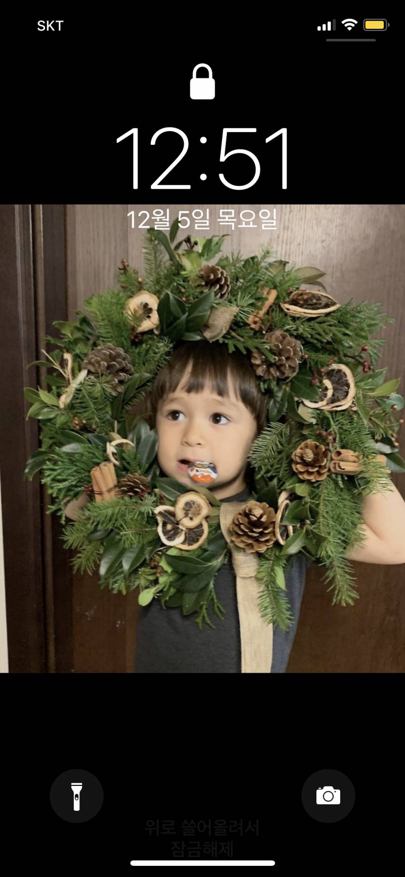 익드라 나 배경 바꿨는데 진초ㅑ 기여우니까 보고 가조🎄❤️ | 인스티즈