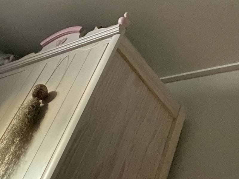 아침에 저거보고 놀랐네.. | 인스티즈