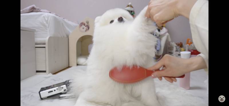 아 진짜 너무 귀엽지 않아?ㅜㅠㅠㅠㅠㅠㅠㅠ | 인스티즈