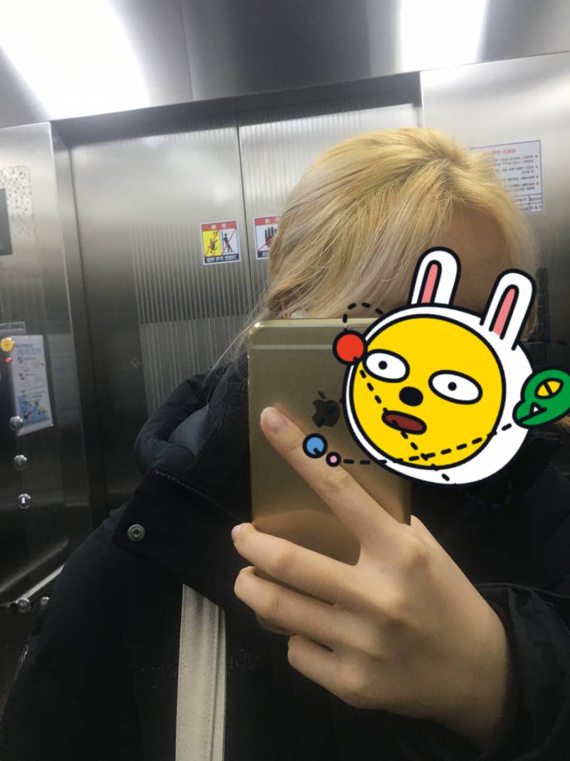 내 머리 마법 걸린 안나됨 | 인스티즈