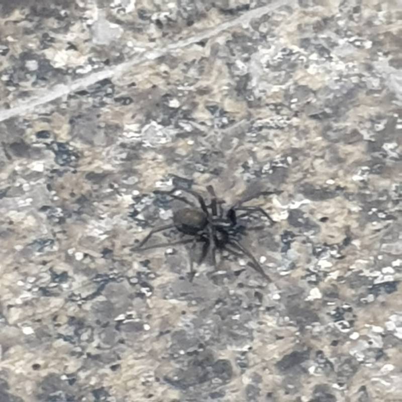 왐마 이게 뭐시여 진짜같아???? 혐오주의 | 인스티즈