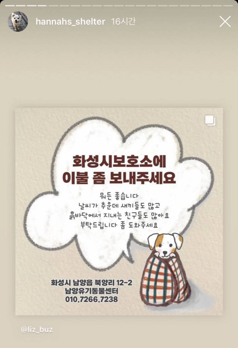 ❌댕댕이 사랑맨들 추위에 떠는 강아지 도와줘 ㅜㅜ❌ | 인스티즈