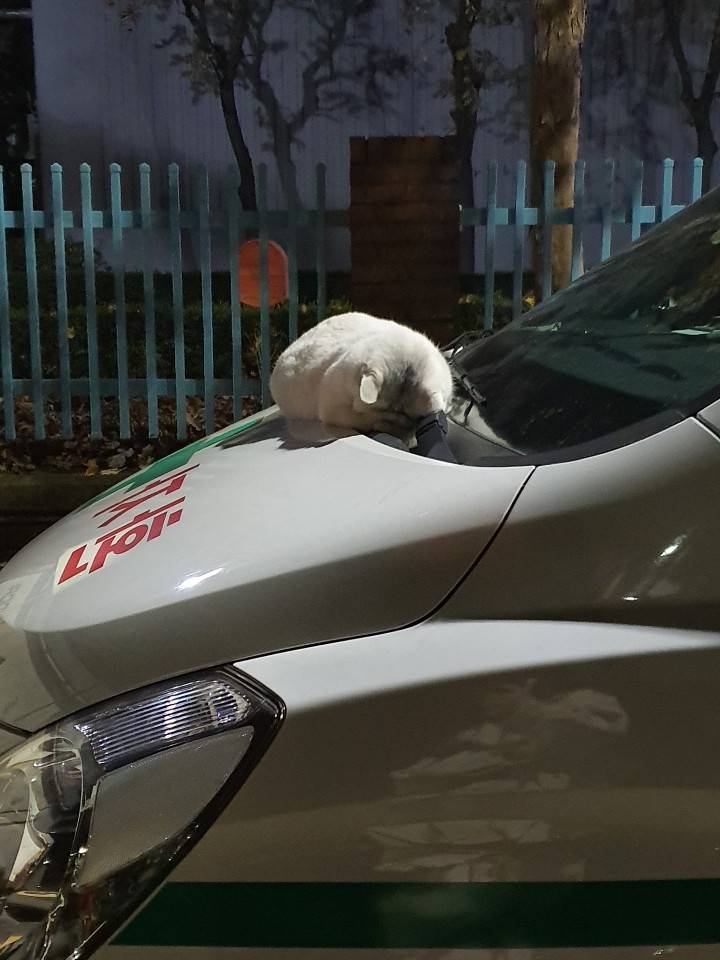 ㄹㅇ 이글안보면 내일 지각한다 익들 | 인스티즈