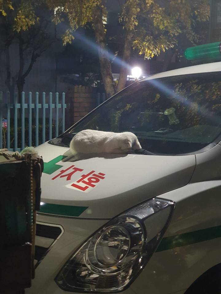 ㄹㅇ 이글안보면 내일 지각한다 익들 | 인스티즈