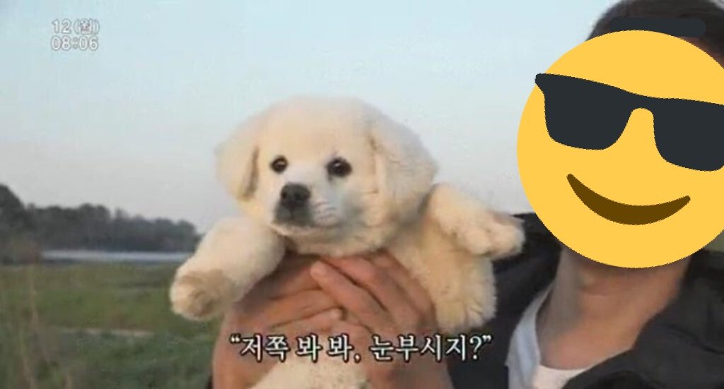 본진 공계 트위터 제일 당황스러웠을 때가ㅋㅋㅋㅋㅋㅋ | 인스티즈