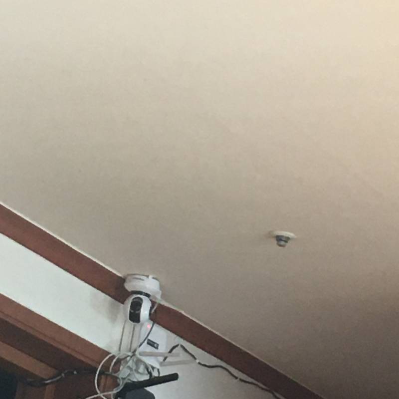 부모님이 집에서 cctv로 감시하는 익인이 있니? | 인스티즈