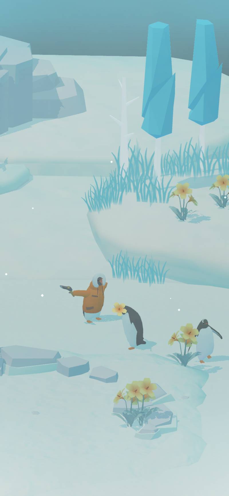 나 펭귄 키우는데 진짜 귀여워 | 인스티즈