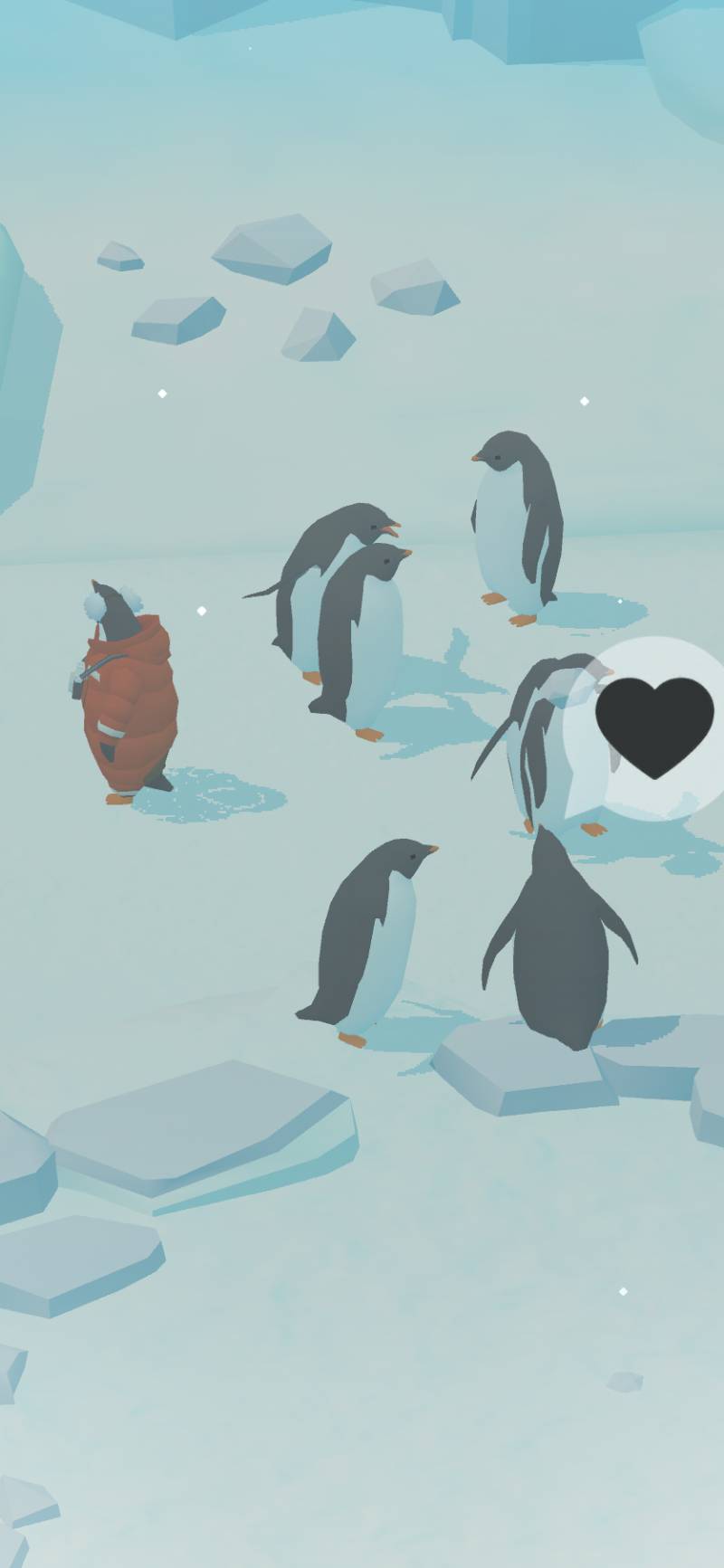 나 펭귄 키우는데 진짜 귀여워 | 인스티즈