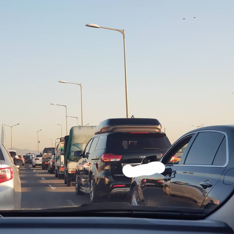 트리마제 지나가는데 ㄹㅇ부럽다 | 인스티즈