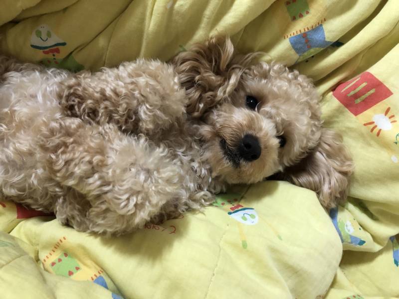 배 만져조 | 인스티즈