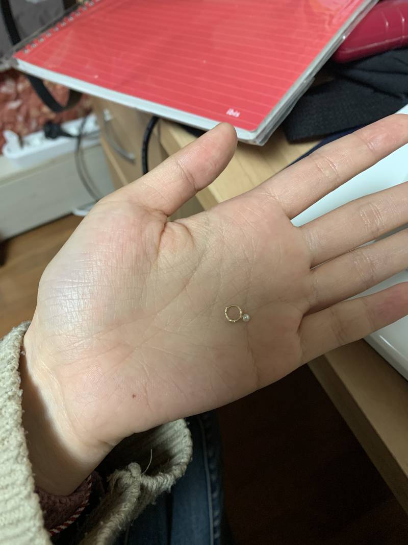 귀걸이 샀는데 사이즈 뭔일이야 ㅋㅋ 대실패함 | 인스티즈
