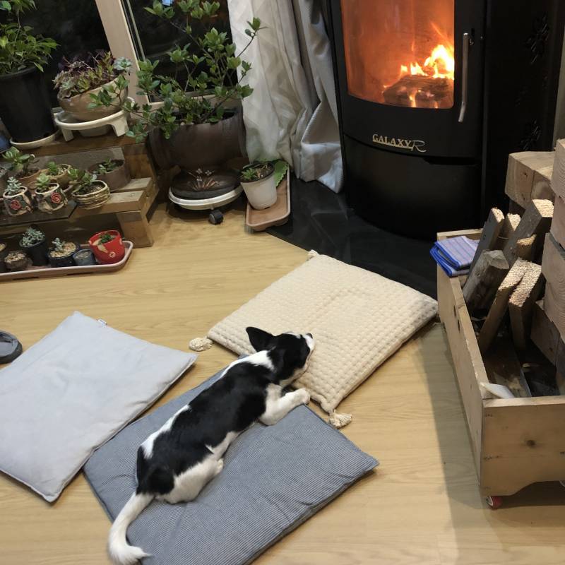 익들아 추울때 이게 최고다 ㄹㅇ!!!! 40 | 인스티즈