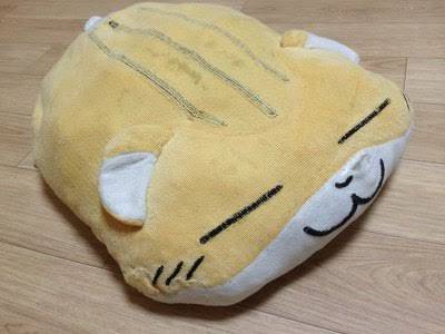 혹시 햄스터 배게 갖고있던 익들있어? 사진O | 인스티즈