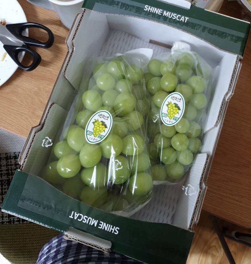 학 아빠가 샤인머스캣 사왔다!!!!!!!! | 인스티즈