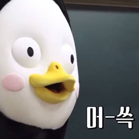 남자친구가 펭수다이어리 사줫따 | 인스티즈