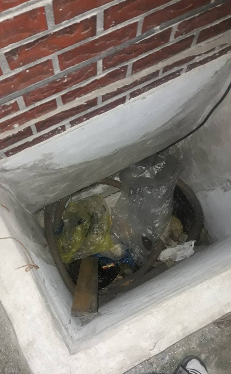 익들아 고양이가 깊은 구덩이?속에 빠졌는데 119불러도되니...? | 인스티즈