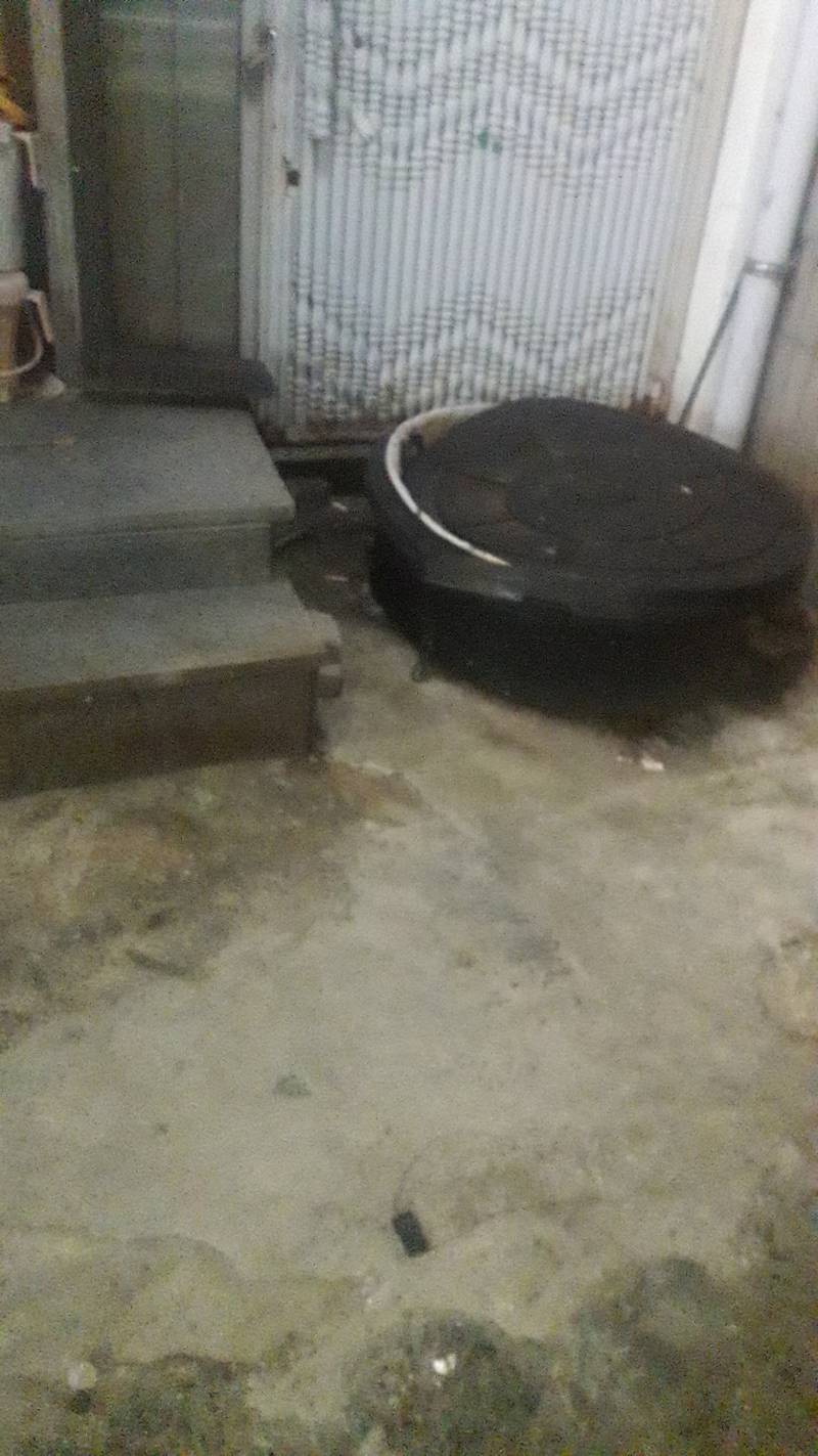 익들아... 나 애기고양이랑 두시간째 사투중이야.. 응원해줘 | 인스티즈