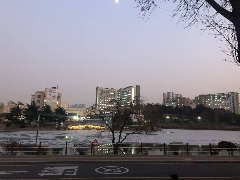 얼고 눈 내린 오늘자 우리학교 호수🏖404040 | 인스티즈