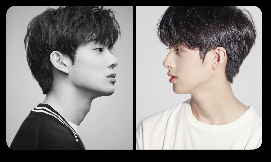 젤피는 뭔복이야 | 인스티즈