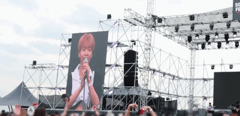 정세운 나오는 페스티벌이나 공연가면 볼수있는 모습 | 인스티즈