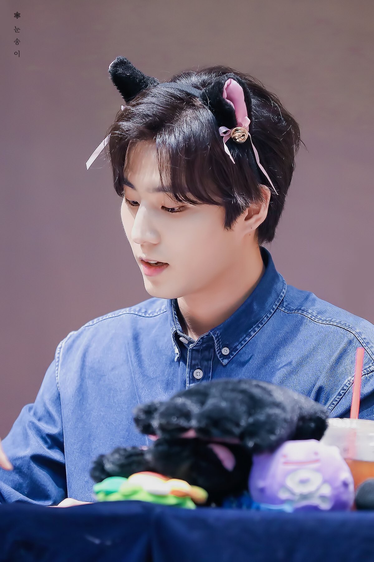 머리 색에 맞게 귀 바꿔다는 울 고양이...여우...고양이...🦊 | 인스티즈