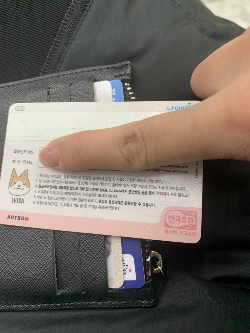 이 캐시비 일반 음식점에도 쓸 수 있어? | 인스티즈