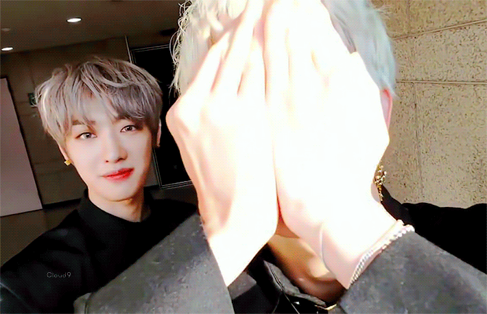 골차네 비숑 재현 보고가셔들 | 인스티즈
