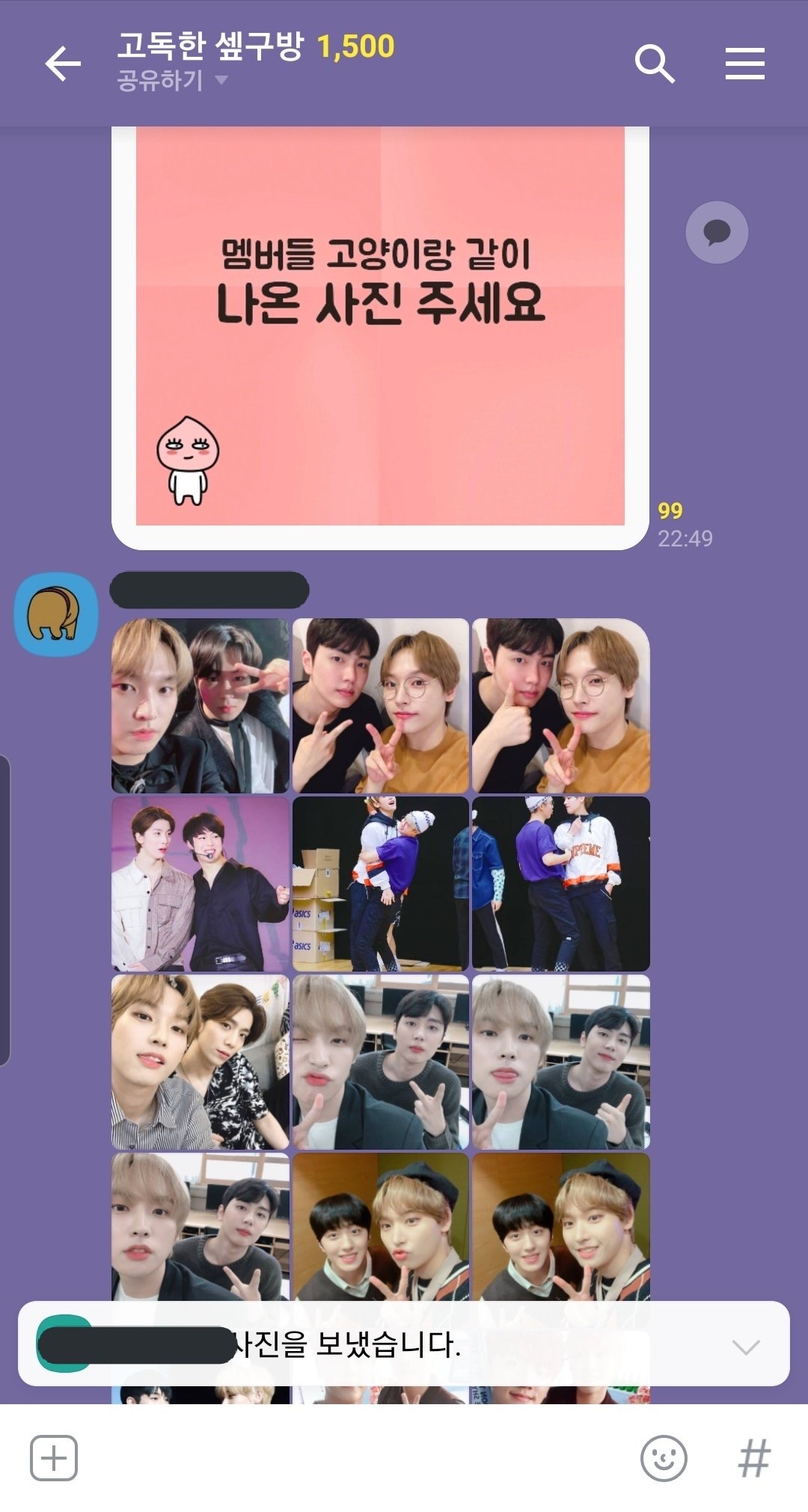 멤버들 고양이랑 같이 나온 사진 주세요 | 인스티즈