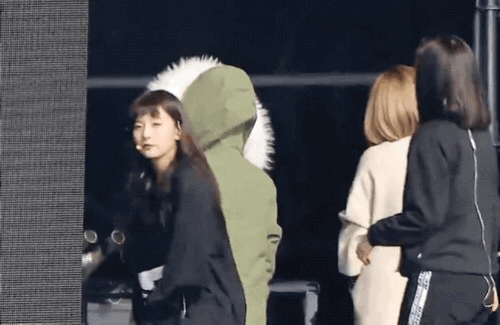 모두가 납득할 수 있는 아이린 닮은꼴 | 인스티즈