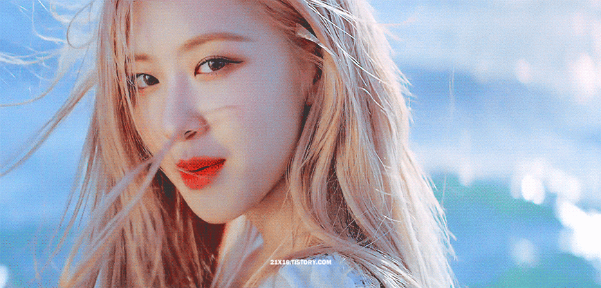 11일(화), 🌸블랙핑크 로제 생일🌸 | 인스티즈