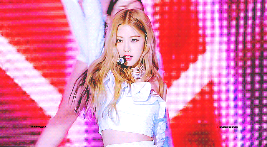 11일(화), 🌸블랙핑크 로제 생일🌸 | 인스티즈