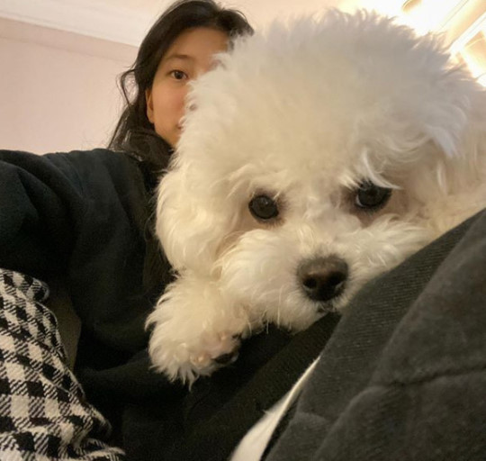 아니 수지한테 이건 왜물어봨ㅋㅋㅋㅋㅋ | 인스티즈